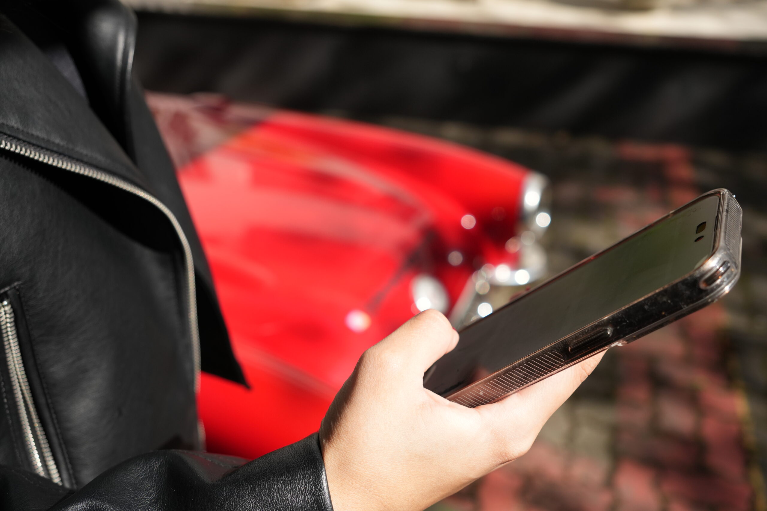 Consulta de documento veicular em um celular